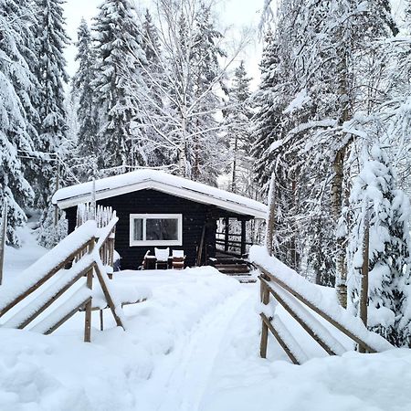 Hawkhill Cottage Resort Tervalampi Eksteriør billede
