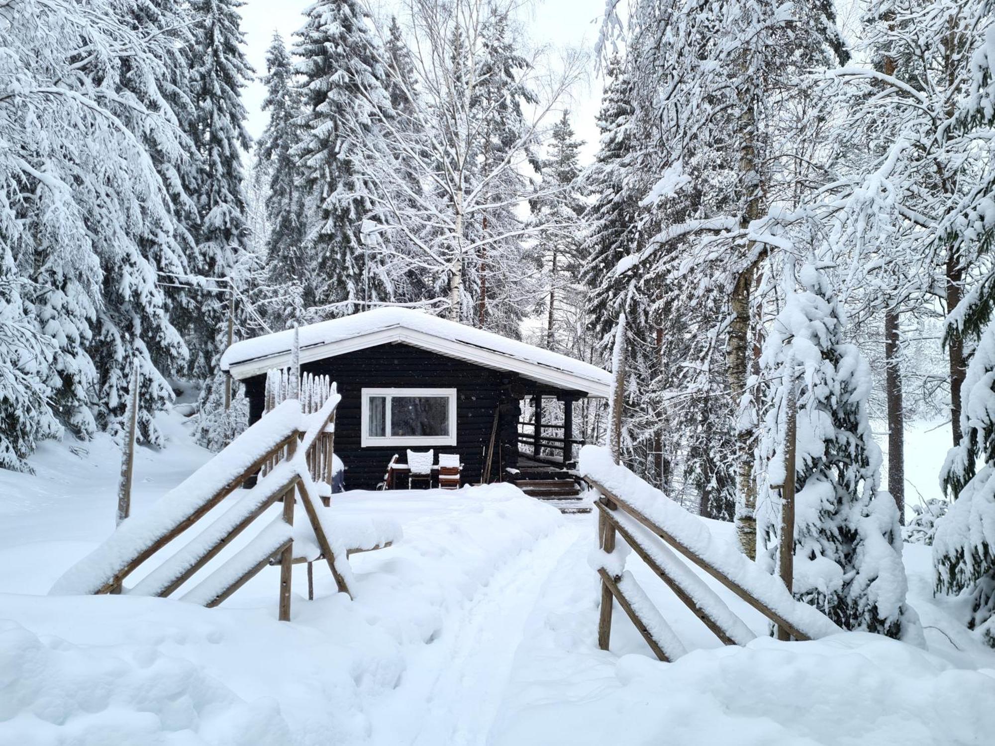 Hawkhill Cottage Resort Tervalampi Eksteriør billede